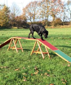 Dog Activity Agility Hondenloop 456X64X30 Cm