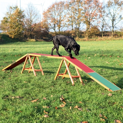 Dog Activity Agility Hondenloop 456X64X30 Cm