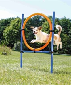 Dog Activity Agility Ring Blauw / Oranje 65X3X115 Cm