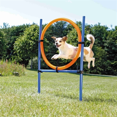Dog Activity Agility Ring Blauw / Oranje 65X3X115 Cm