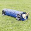Dog Activity Agility Tunnel Blauw 40 Cmx2 Mtr