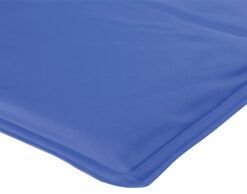 Koelmat Blauw 90X50 Cm