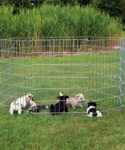 Natura Puppyren Gegalvaniseerd Metaal 8 Panelen Dia 154 Cm 61X91 Cm
