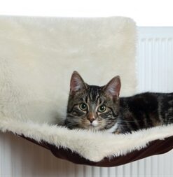 Radiatorhangmat Pluche / Velours Creme / Bruin 45X26X31 Cm