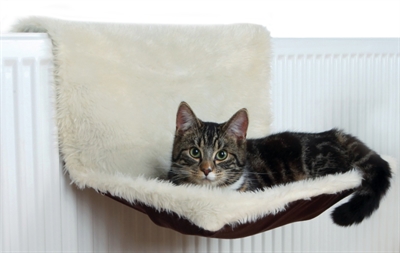 Radiatorhangmat Pluche / Velours Creme / Bruin 45X26X31 Cm