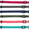 Puppy Halsbandset Fuchsia/Grafiet/Indigo/Groen/Koraal/Blauw 22-35 Cm 6 St