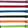 Puppy Halsband Set Zwart/Rood/Blauw/Appel/Papaya/Orchidee 22-35 Cm 6 St