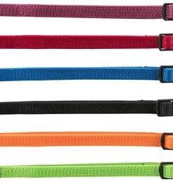 Puppy Halsband Set Zwart/Rood/Blauw/Appel/Papaya/Orchidee 22-35 Cm 6 St