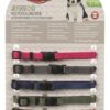 Puppy Halsbandset Fuchsia/Grafiet/Indigo/Bosgroen/Koraal 17-25 Cm 6 St