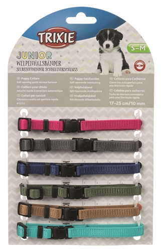 Puppy Halsbandset Fuchsia/Grafiet/Indigo/Bosgroen/Koraal 17-25 Cm 6 St