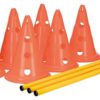 Dog Activity Hordenset 2 St