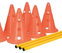 Dog Activity Hordenset 2 St