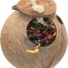 Kokosnoot Aan Sisaltouw 35 Cm