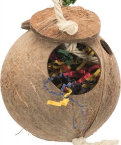 Kokosnoot Aan Sisaltouw 35 Cm
