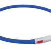 Lichtgevende Halsband Hond Usb Siliconen Oplaadbaar Royal Blauw 70X1 Cm