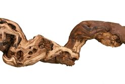 Druiventakken 30-40 Cm 5 St