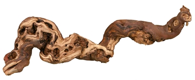 Druiventakken 30-40 Cm 5 St