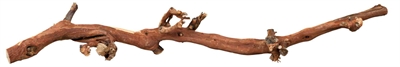 Druiventakken 40-60 Cm 5 St