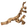 Druiventakken 55-80 Cm 6 St