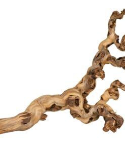 Druiventakken 55-80 Cm 6 St