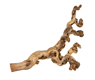 Druiventakken 55-80 Cm 6 St