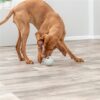 Snackbal Rubber Grijs 9 Cm