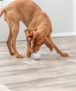 Snackbal Rubber Grijs 9 Cm