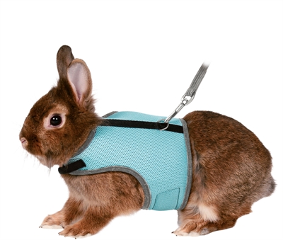 Tuig Voor Knaagdieren Assorti 25-32 Cmx1,2 Mtr