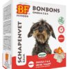 Petfood Schapenvet Mini Bonbons Zalm 80 St