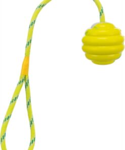 Ringenbal Met Touw 6X30 Cm 3 St