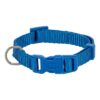 Halsband Hond Premium Royal Blauw 15-25X1 Cm