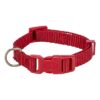 Halsband Hond Premium Rood 15-25X1Cm
