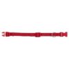 Halsband Hond Premium Rood 25-40X1,5 Cm