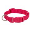 Halsband Hond Premium Fuchsia 15-25X1 Cm