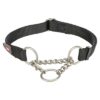 Halsband Hond Premium Halfslip Halsband Zwart 45-70X2,5 Cm