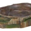 Reptielen Waterschaal / Voerschaal 10X7,5X2,5 Cm 2 St