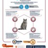Cat Sterilized Sensitive Senior 10+ 10 Kg