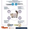 Cat Sterilized Hairball 10 Kg