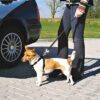 Hondentuig Auto Inclusief Gordel Zwart 20-50X1,5 Cm