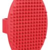 Massage Borstel Rubber 13X8 Cm