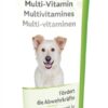 Multi-Vitamine Pasta Hond 100 Gr