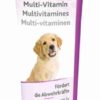 Multi-Vitamine Pasta Puppy 100 Gr