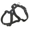 Hondentuig Premium H-Tuig Zwart 85-130X3,8 Cm