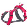 Hondentuig Premium Trekking Fuchsia / Grafiet Grijs 32-38X1,3 Cm