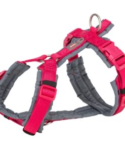 Hondentuig Premium Trekking Fuchsia / Grafiet Grijs 32-38X1,3 Cm