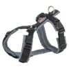 Hondentuig Premium Trekking Zwart / Grafiet Grijs 32-38X1,3 Cm