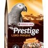 Premium Afrikaanse Papegaai 1 Kg