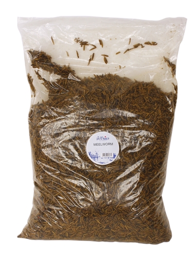 Vries Meelworm Black Soldier Fly 5 Kg