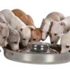 Junior Puppyvoerbak Rvs 29 Cm 1400 Ml