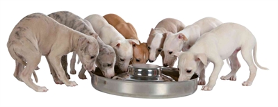Junior Puppyvoerbak Rvs 29 Cm 1400 Ml